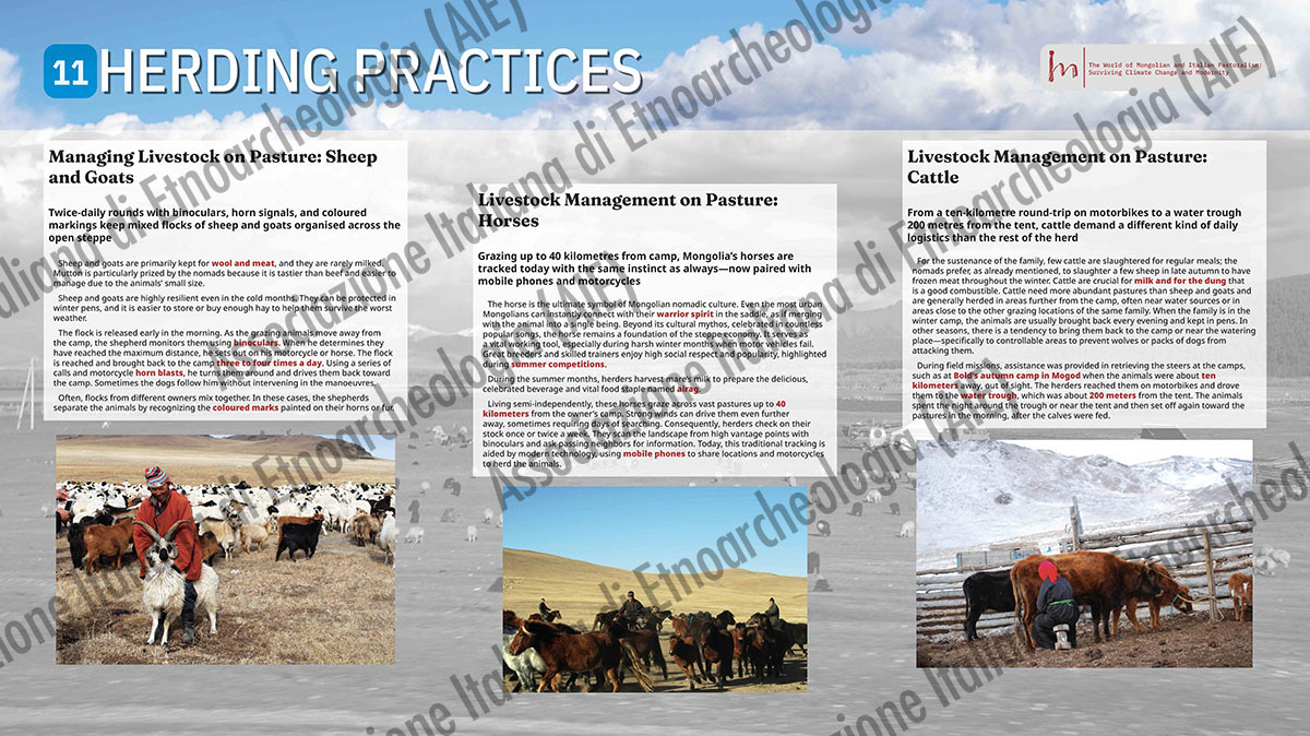 11. HERDING PRACTICES