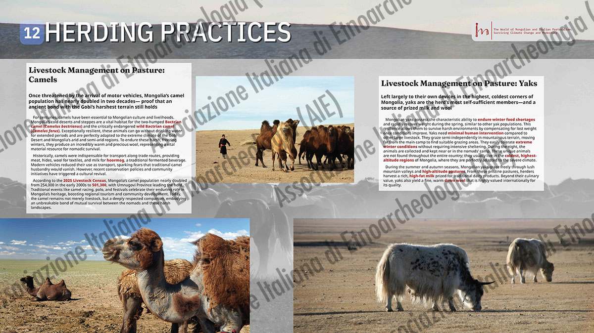 12. HERDING PRACTICES