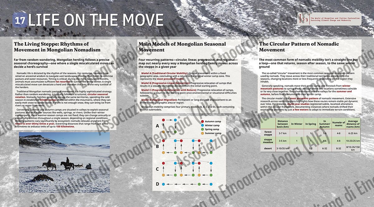 17. LIFE ON THE MOVE
