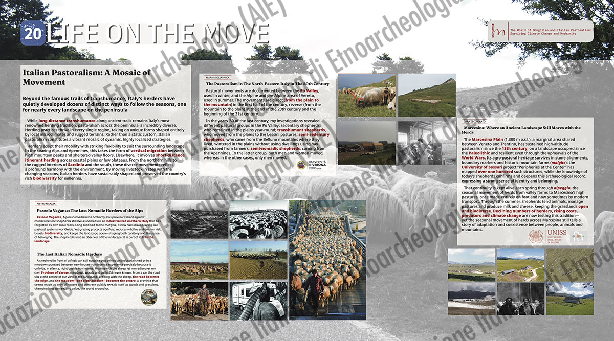 20. LIFE ON THE MOVE